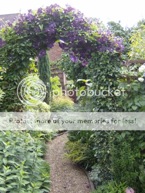 http://i1131.photobucket.com/albums/m551/lilylouise1/garden043.jpg