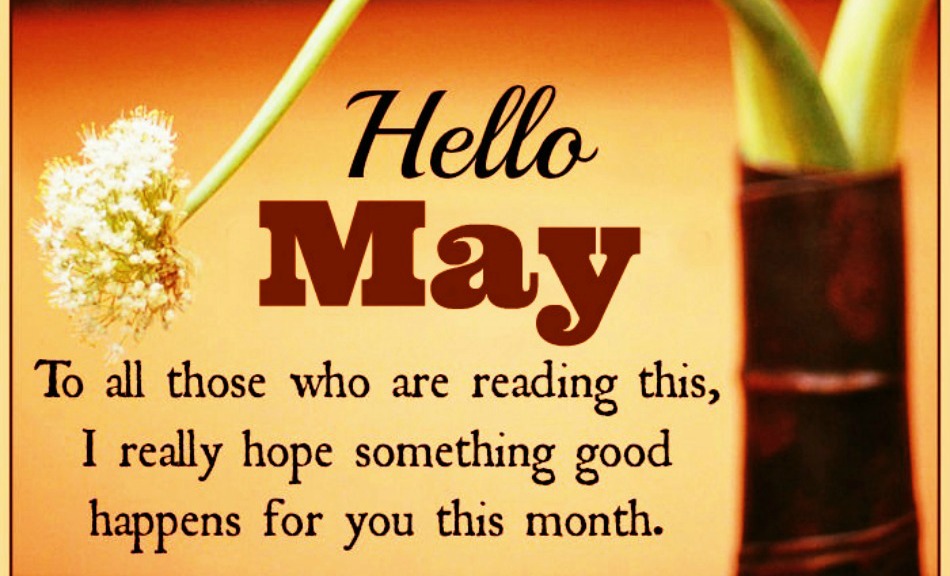 Daveswordsofwisdomcom Hello May