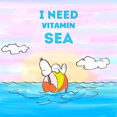 56 Snoopy Summertime ideas in 2022  snoopy snoopy love charlie brown and  snoopy