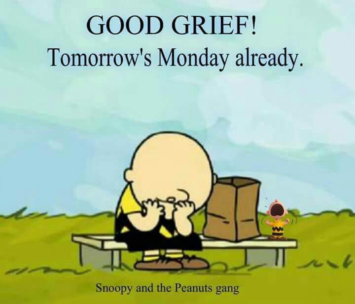 Sunday night blues  Snoopy funny Snoopy quotes Work humor