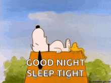 Sleep Well GIFs  Tenor