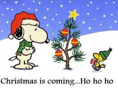 300 Best Snoopy Christmas ideas  snoopy christmas snoopy peanuts  christmas