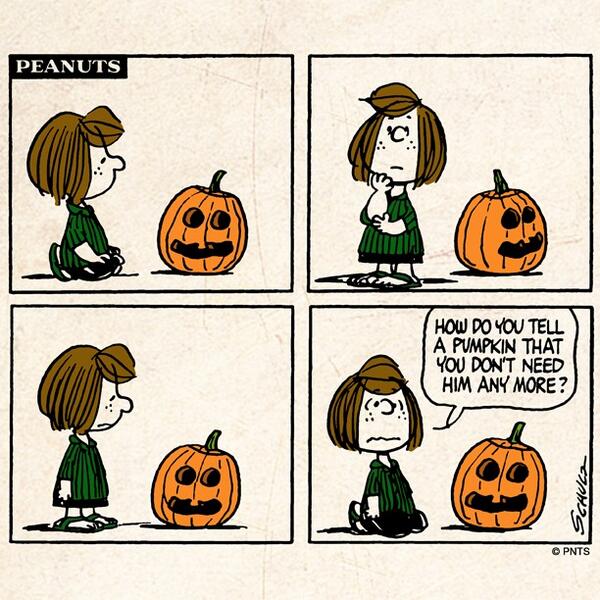 PEANUTS on Twitter Goodbye Pumpkin see you next year  httptcow0kUCWJ6ES  Twitter