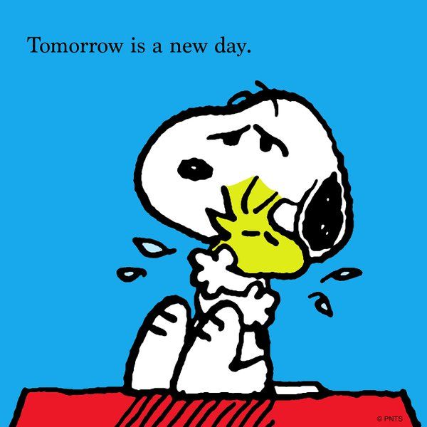 Twitter  Tomorrow is a new day Snoopy Peanuts charlie brown snoopy