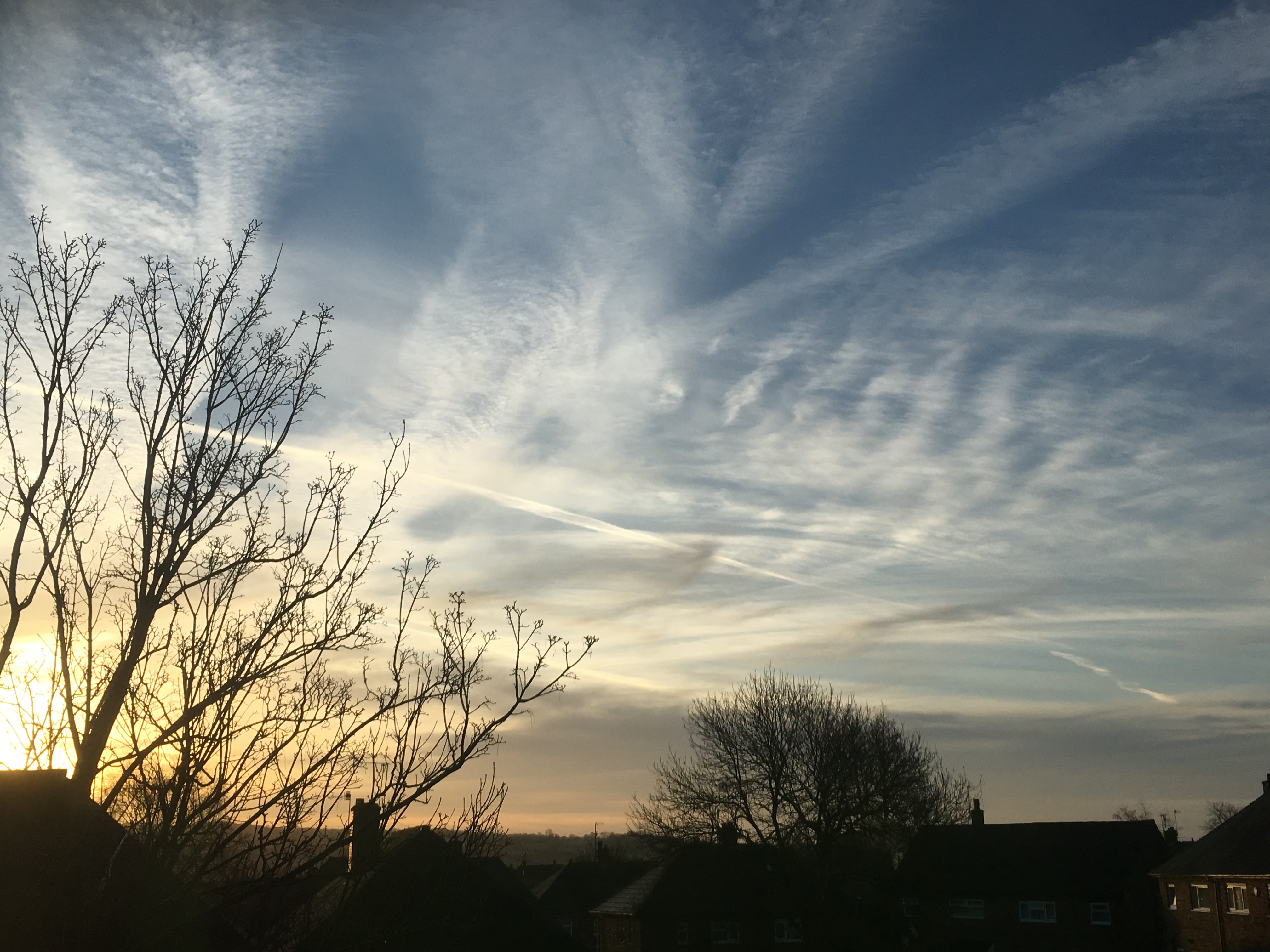 cumulus
