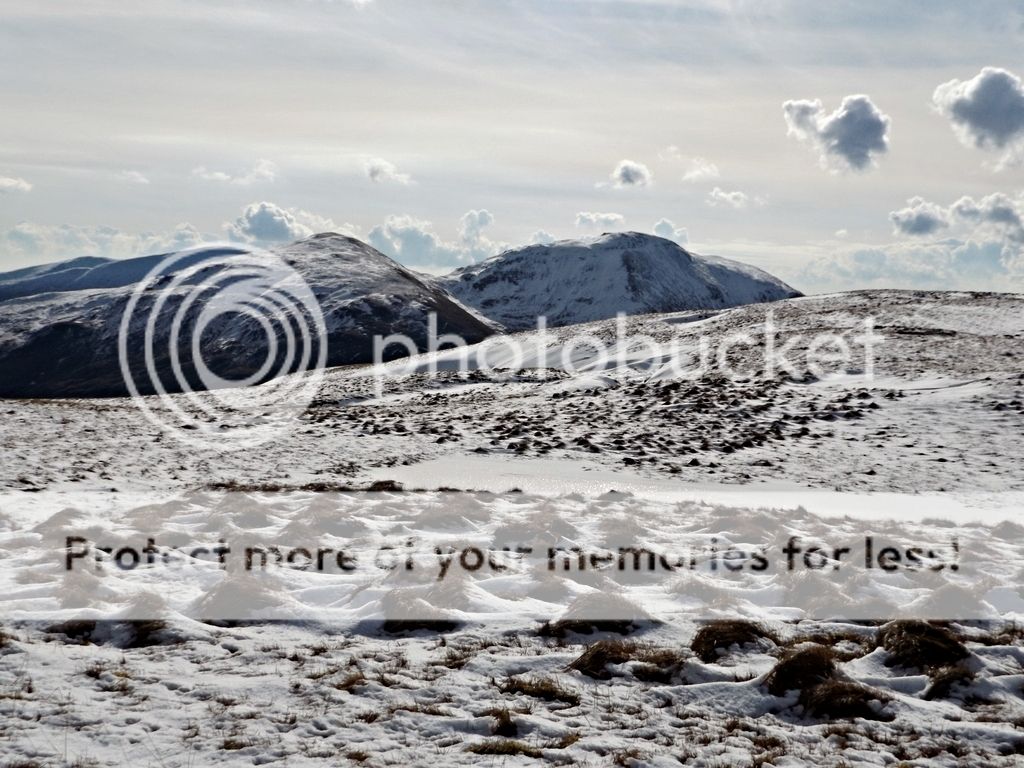 http://i1331.photobucket.com/albums/w595/fairygirl55/DSCF1589_zpsuy7zlyci.jpg