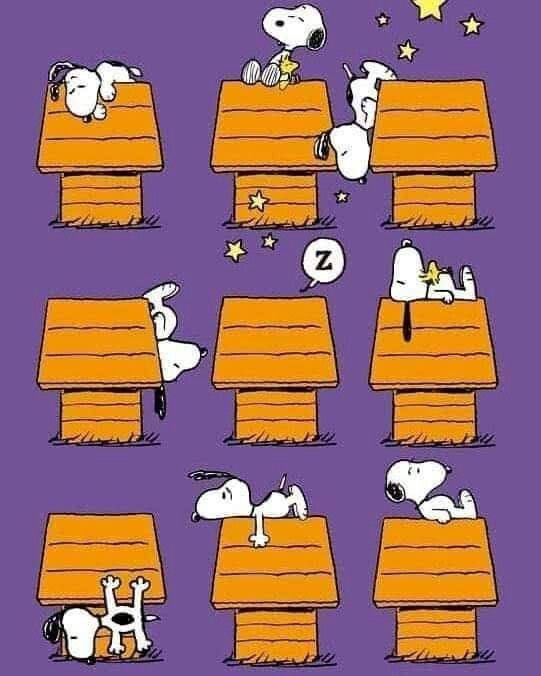 RESTLESS NIGHTampquot  Snoopy pictures Snoopy love Snoopy images