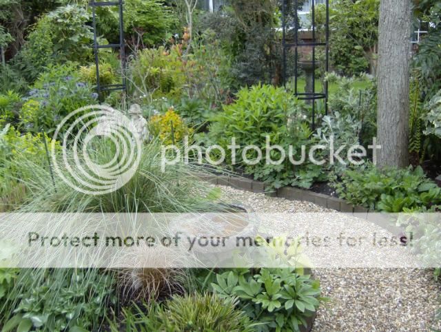 http://i1131.photobucket.com/albums/m551/lilylouise1/gardenviews037.jpg