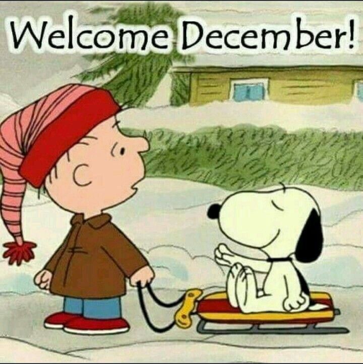 Pin on Hello December