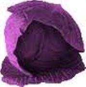 Cabbage Head