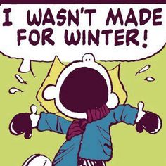 53 Winter ideas  charlie brown and snoopy snoopy love charlie brown  peanuts