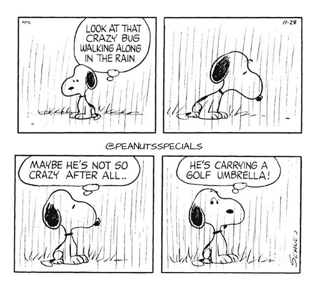 First Appearance November 28th 1969 peanutsspecials ps pnts schulz  snoopy crazy bug walking along rain c  Golf umbrella Snoopy  comics Snoopy quotes