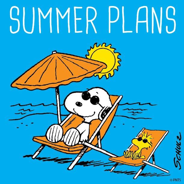 PEANUTS on Twitter  Snoopy and woodstock Snoopy quotes Snoopy cartoon
