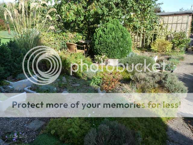 http://i703.photobucket.com/albums/ww32/Owdboggy/October%202013/Ocotber2013miscellany007.jpg