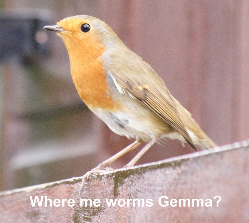 GemmaJF