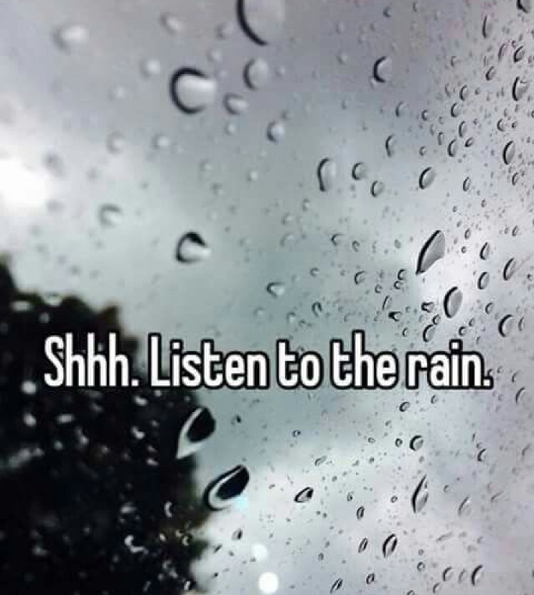 Raining Saturdays  All Things Life