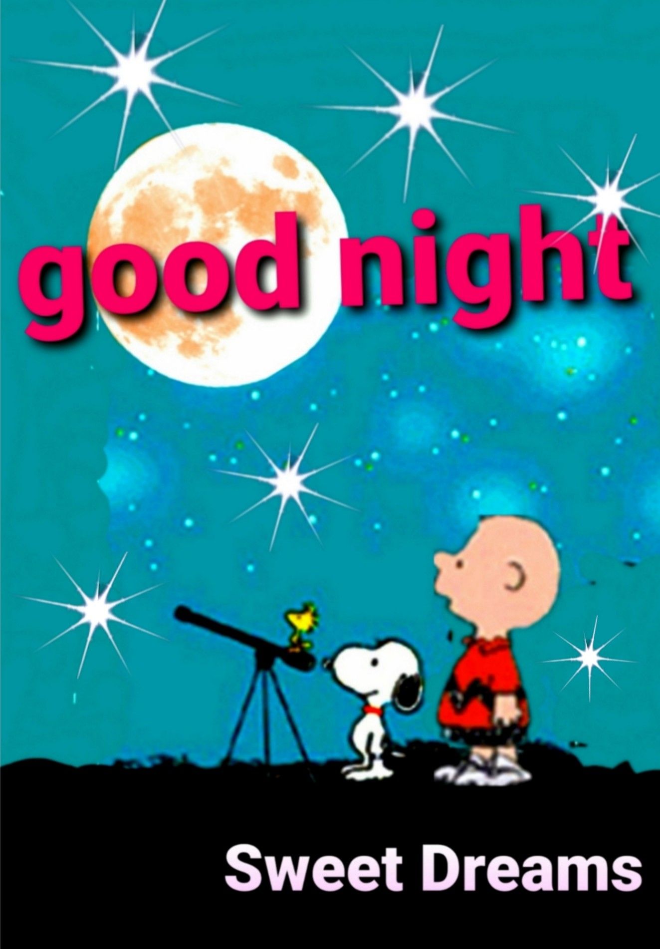 good-night  Good night sweet dreams Goodnight snoopy Snoopy quotes