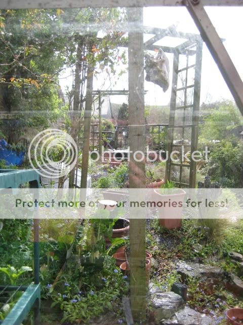 http://i1105.photobucket.com/albums/h342/figrat/gardenersworld/view.jpg