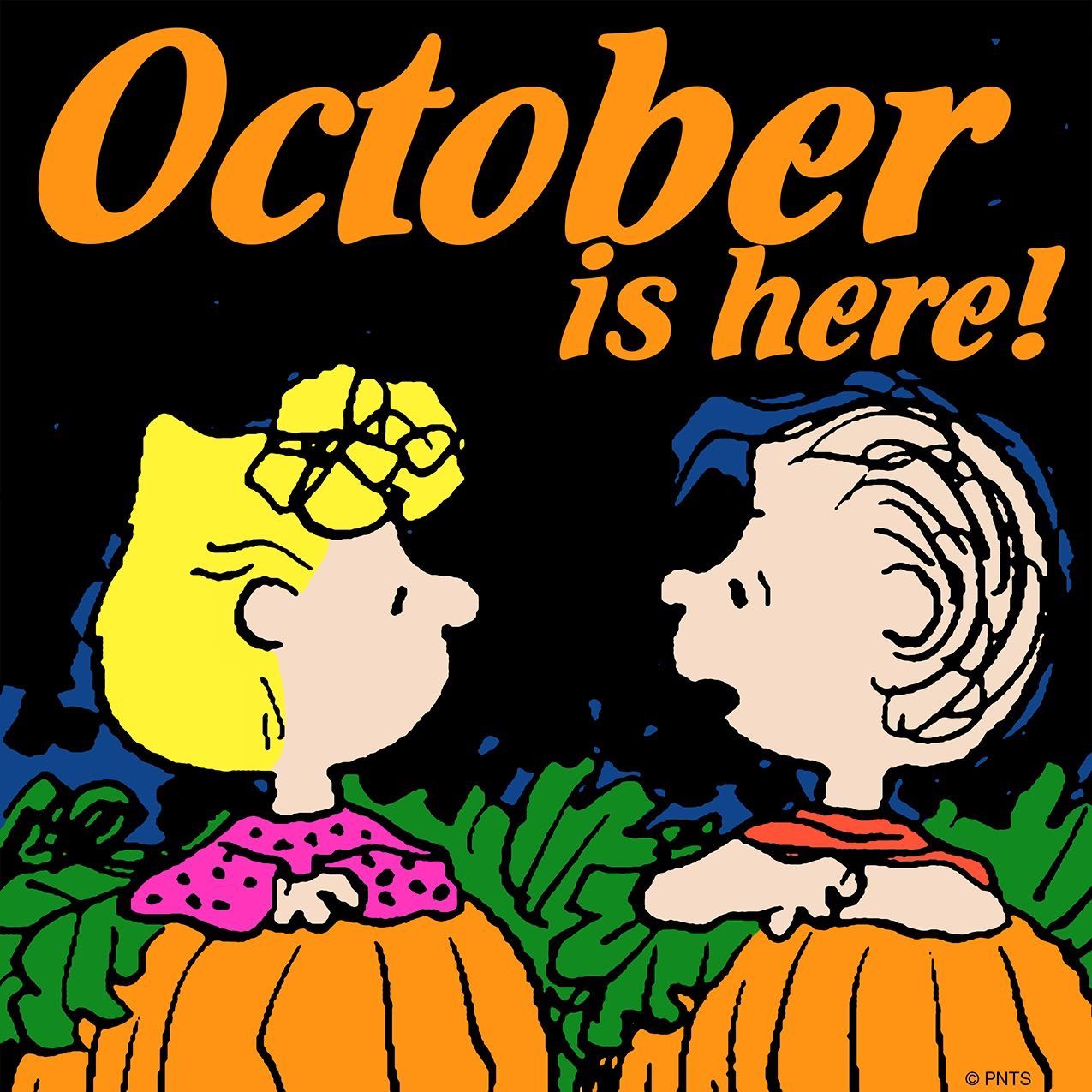 Hello October  Snoopy halloween Snoopy october Snoopy