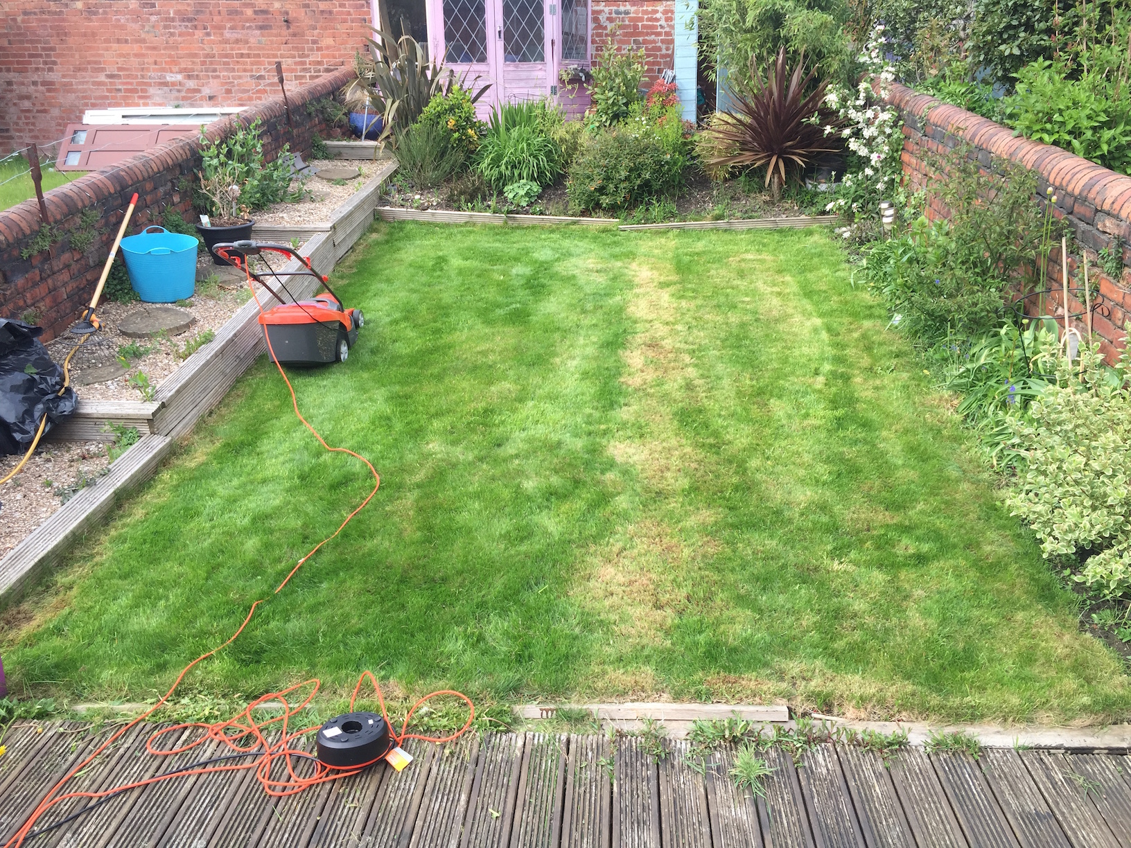 http://jimtreats.com/Lawn/IMG_0076.JPG