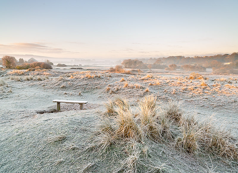 1463 Frosty Morning The Duver