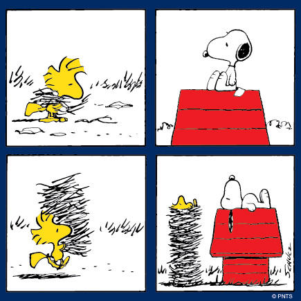 PEANUTS a X Thursday morning with Snoopy and Woodstock  httptconiiLaME6  X