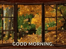 Autumn GIFs  Tenor