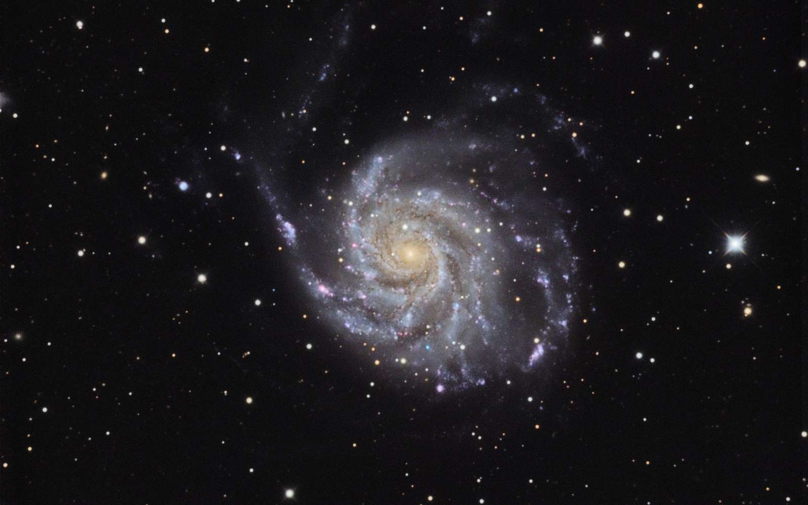 Image result for univers