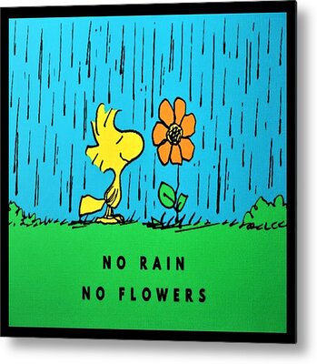 Snoopy Metal Wall Art  Snoopy Metal Prints - Fine Art America