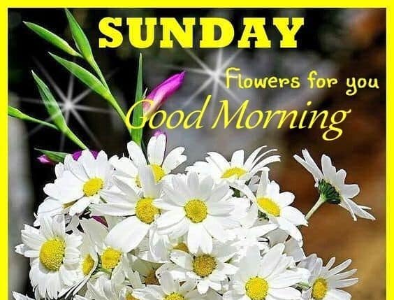 Image result for sunday morning quotes