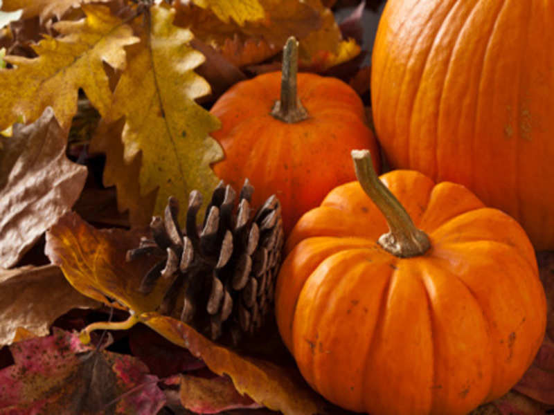 Image result for Beautiful pumpkin pictures