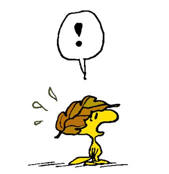 Woodstock Suspects that the Falling Leaves are Deliberately Targeting him   Snoopy pictures Snoopy wallpaper Snoopy love