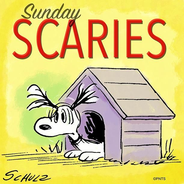 A case of the Sunday scaries  Snoopy Snoopy pictures Snoopy and  woodstock