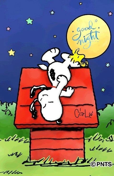 290 Best Goodnight Snoopy  Friends ideas in 2023  goodnight snoopy snoopy  snoopy quotes