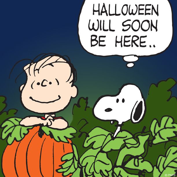 Halloween is 2 days away  Snoopy Snoopy halloween Charlie brown  halloween