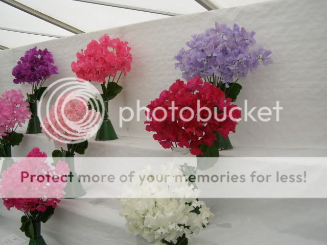 http://i27.photobucket.com/albums/c186/DavidKnapper/Wem/P7180022.jpg