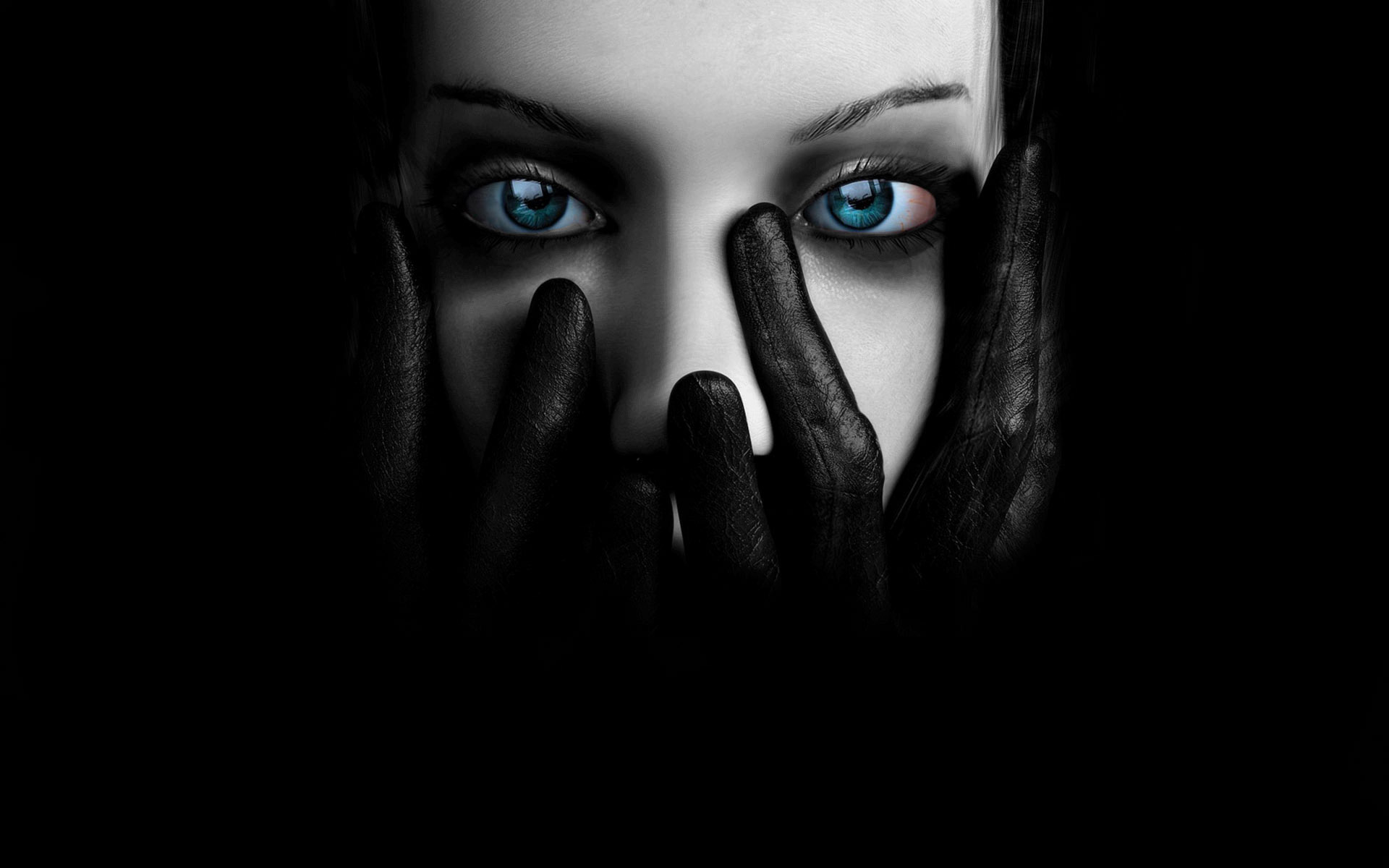 Black Widow Spider