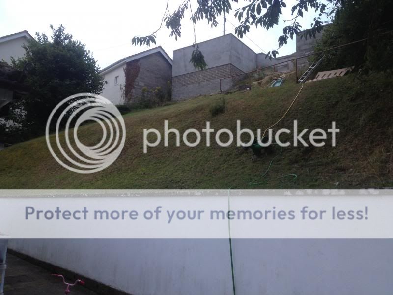 http://i278.photobucket.com/albums/kk105/dantro-photo/2013-08-05200736_zpse9b7e026.jpg