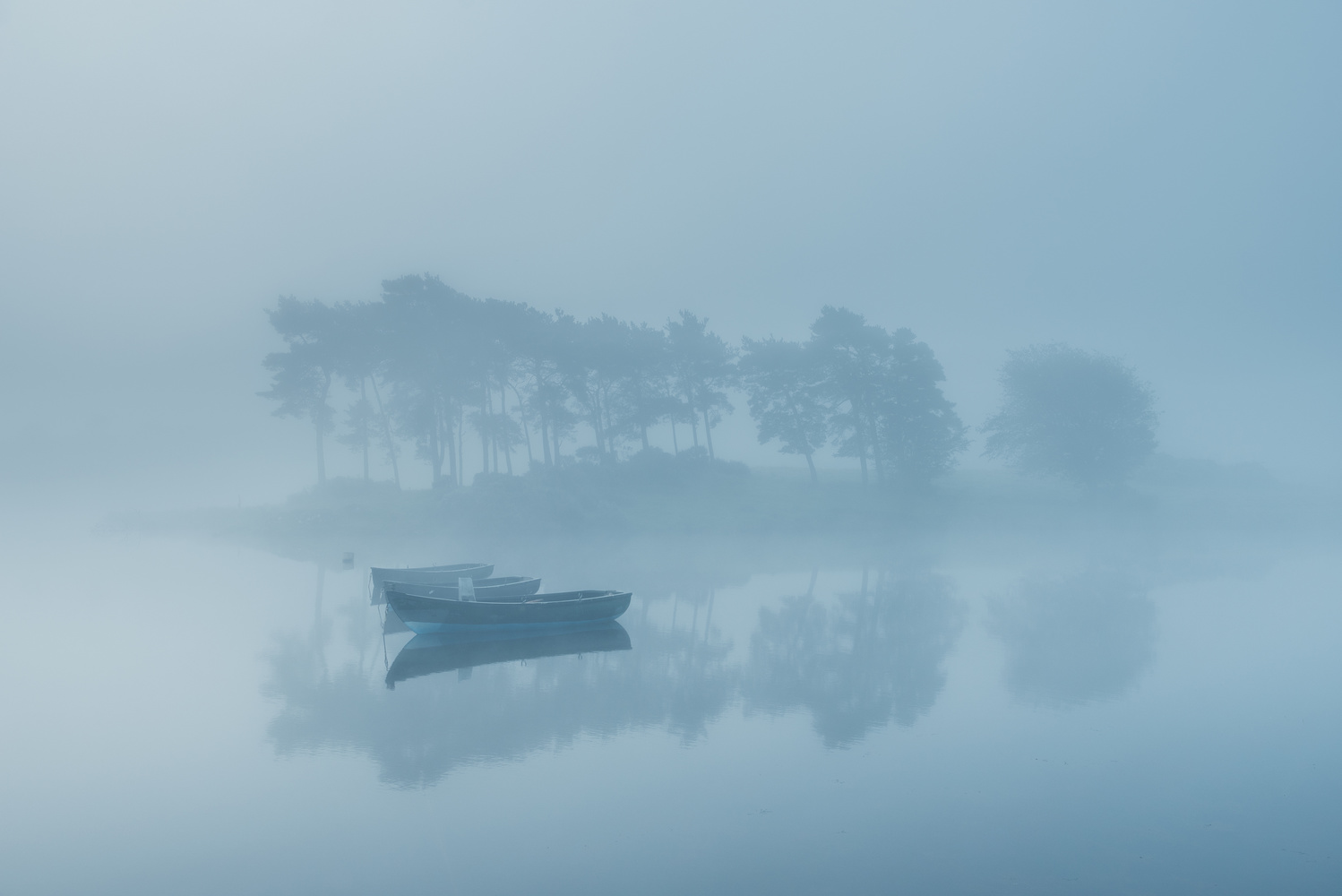 Misty morning in Scotland - Landscape and Nature Photography on