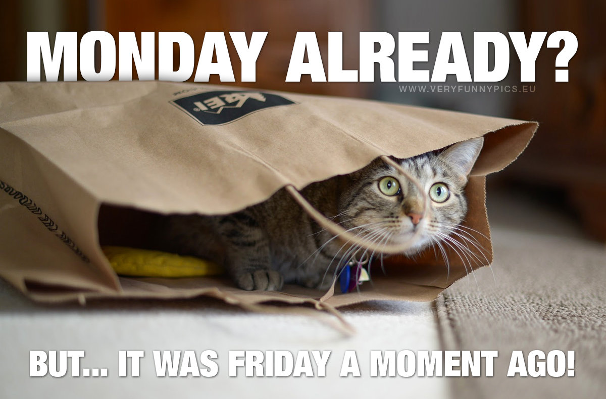 That uncomfortable feeling when you wake up on Monday morning