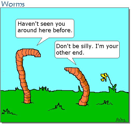 heehee  Funny pictures for facebook Funny puns Sarcastic humor