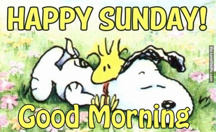 Happy Sunday Good Morning  Citas clebres de domingo feliz Frases de  snoopy Feliz domingo