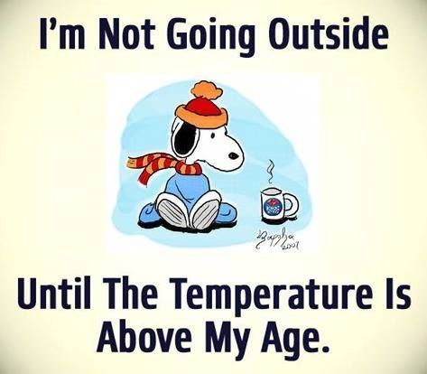 I39m not going outside quotes quote winter cold snoopy funny quotes humor  winter quotes  Snoopy funny Funny quotes Winter humor