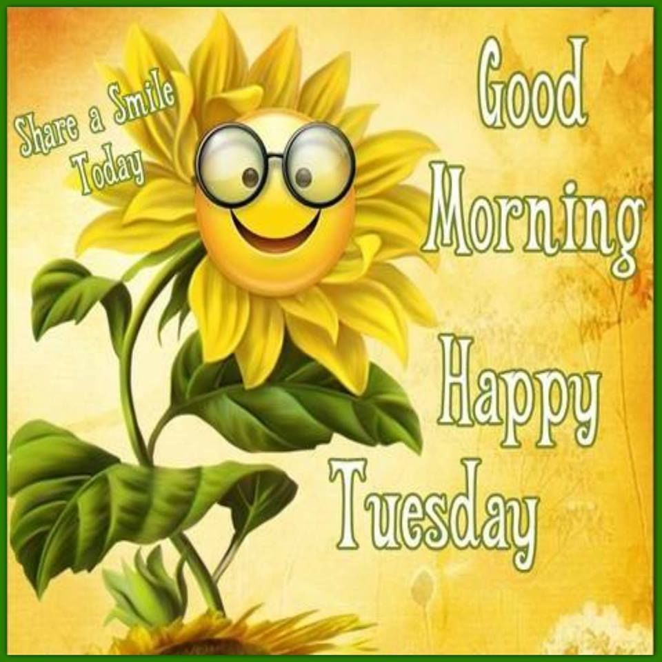 Good Morning Happy Tuesday Have A Smile Day  Happy tuesday images Good  morning tuesday Happy tuesday morning