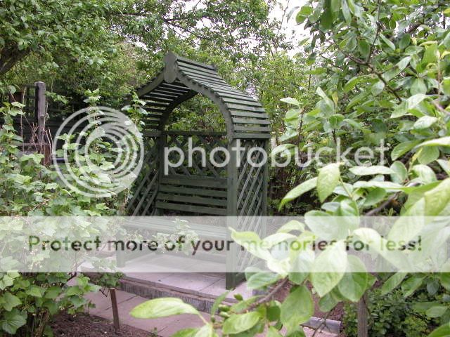 http://i27.photobucket.com/albums/c186/DavidKnapper/DSCN0439.jpg