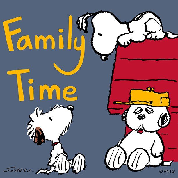 PEANUTS on Twitter  Snoopy family Charlie brown cartoon Snoopy love
