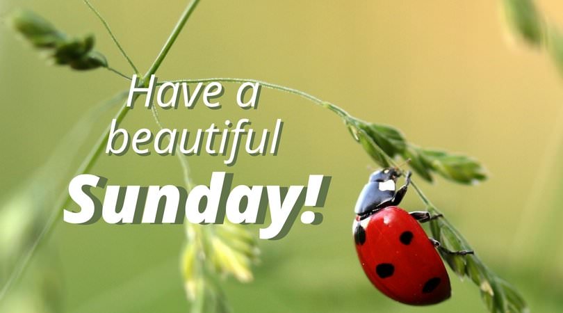 Happy and Inspirational Sunday Quotes  A Day Well Spent