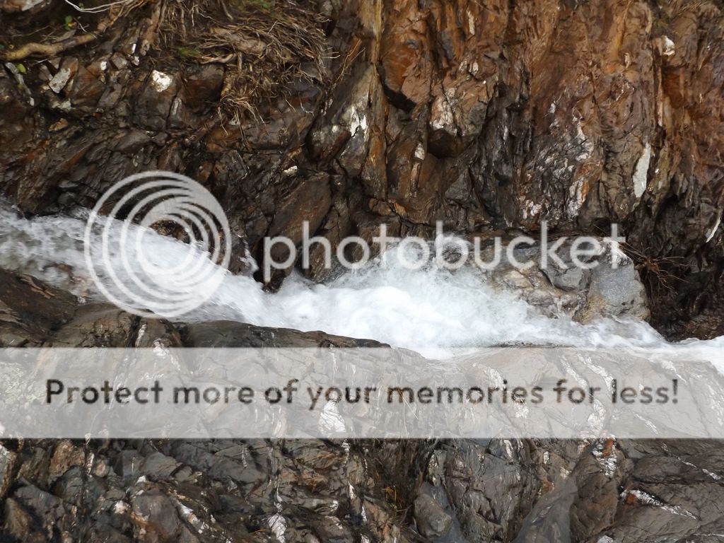 http://i1331.photobucket.com/albums/w595/fairygirl55/DSCF1309_zpsx97w1wsp.jpg