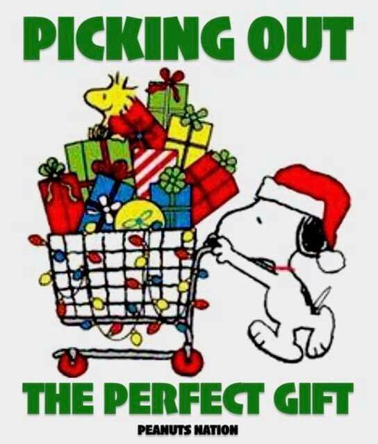 Snoopy and Woodstock  Snoopy christmas Christmas shopping quotes Peanuts  christmas