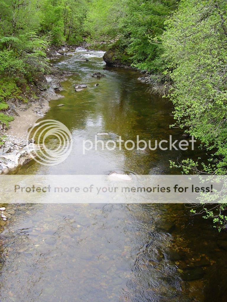 http://i1331.photobucket.com/albums/w595/fairygirl55/P6200032_zps5tslzbd4.jpg